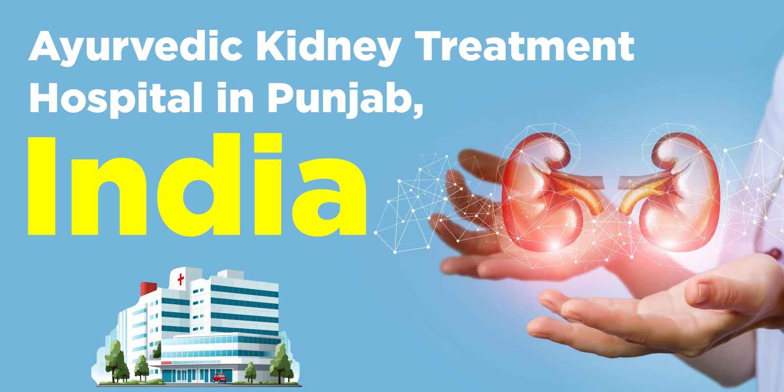 Ayurvedic Kidney Treatment Hospital in Punjab, India